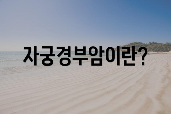 자궁경부암이란?