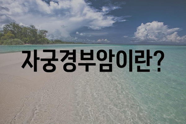 자궁경부암이란?