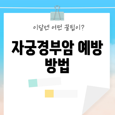 자궁경부암 예방 방법