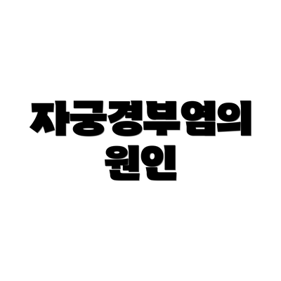 자궁경부염의 원인
