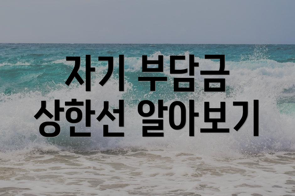 자기 부담금 상한선 알아보기