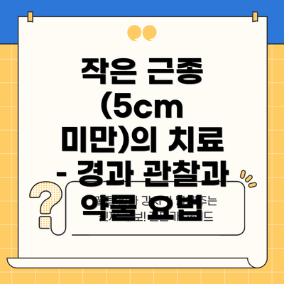 작은 근종 (5cm 미만)의 치료 – 경과 관찰과 약물 요법