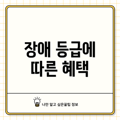 장애 등급에 따른 혜택