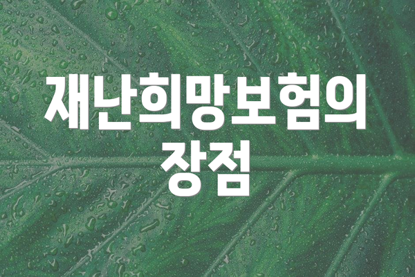 재난희망보험의 장점