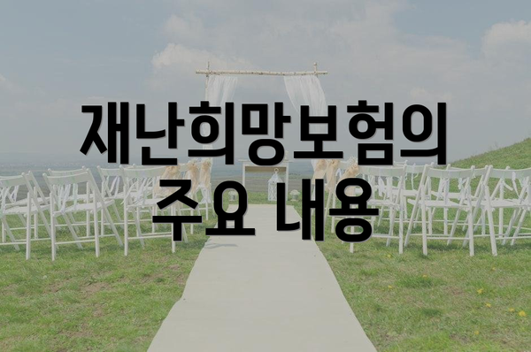 재난희망보험의 주요 내용