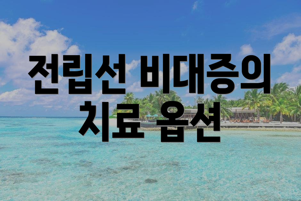 전립선 비대증의 치료 옵션
