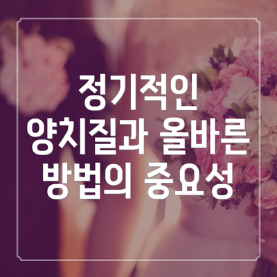 정기적인 양치질과 올바른 방법의 중요성