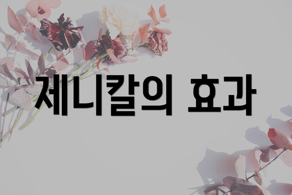 제니칼의 효과
