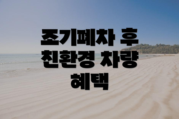조기폐차 후 친환경 차량 혜택