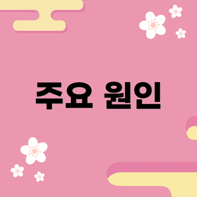 주요 원인