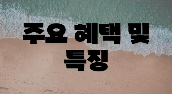 주요 혜택 및 특징