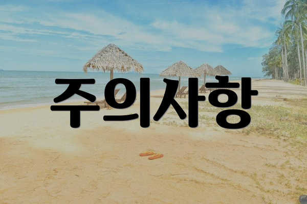 주의사항