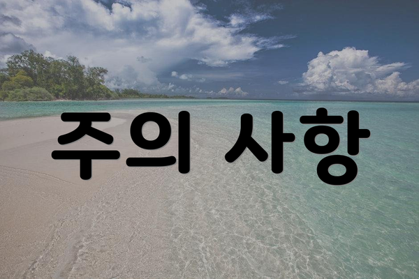 주의 사항