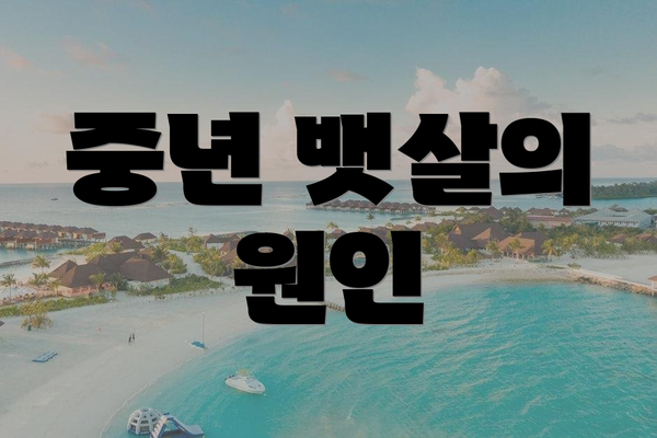 중년 뱃살의 원인