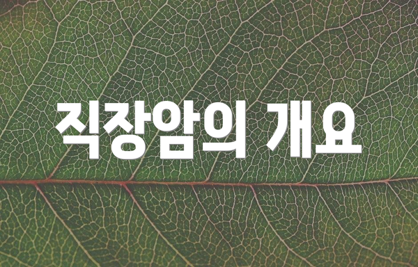 직장암의 개요
