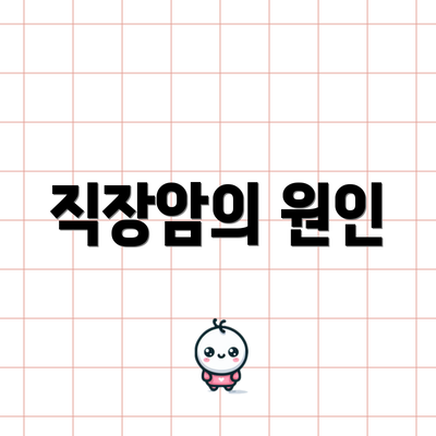 직장암의 원인