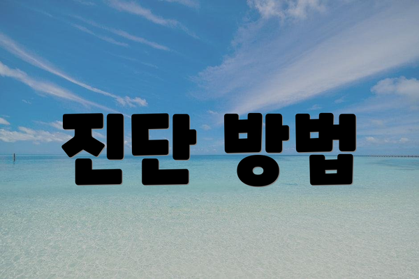 진단 방법