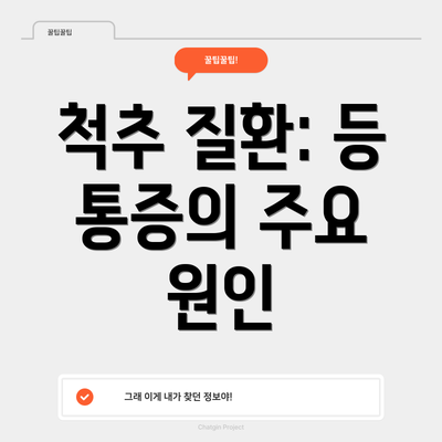 척추 질환: 등 통증의 주요 원인
