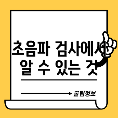 초음파 검사에서 알 수 있는 것