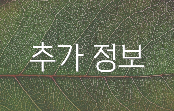추가 정보