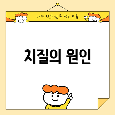치질의 원인