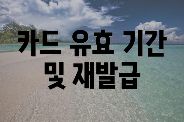 카드 유효 기간 및 재발급