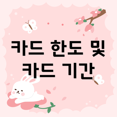 카드 한도 및 카드 기간