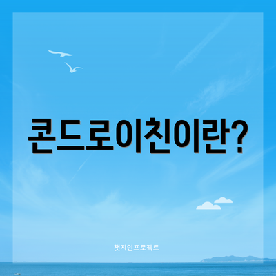 콘드로이친이란?
