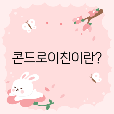 콘드로이친이란?