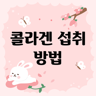 콜라겐 섭취 방법