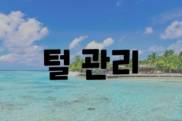털 관리