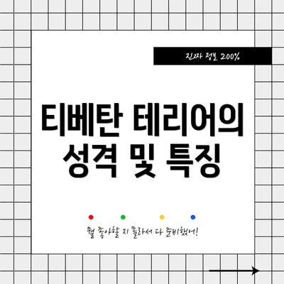 티베탄 테리어의 성격 및 특징