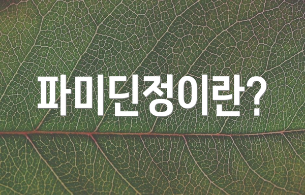 파미딘정이란?