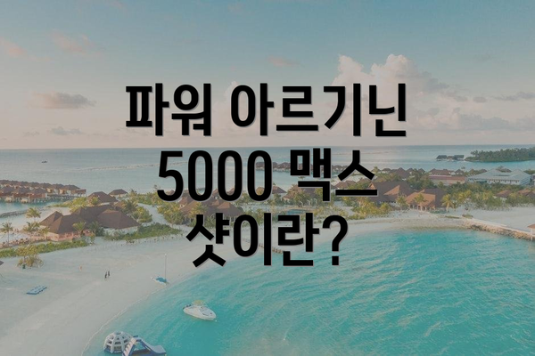 파워 아르기닌 5000 맥스 샷의 복용법