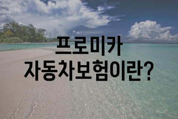 프로미카 자동차보험이란?
