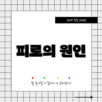 피로의 원인