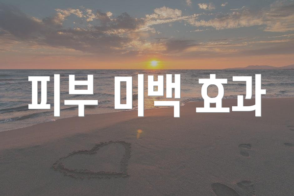 피부 미백 효과