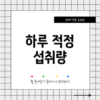 하루 적정 섭취량