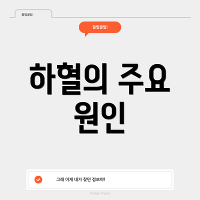 하혈의 주요 원인