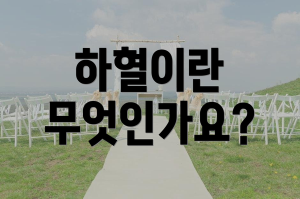 하혈이란 무엇인가요?