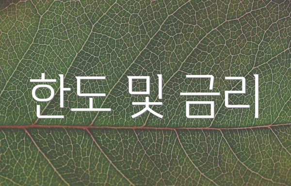 한도 및 금리