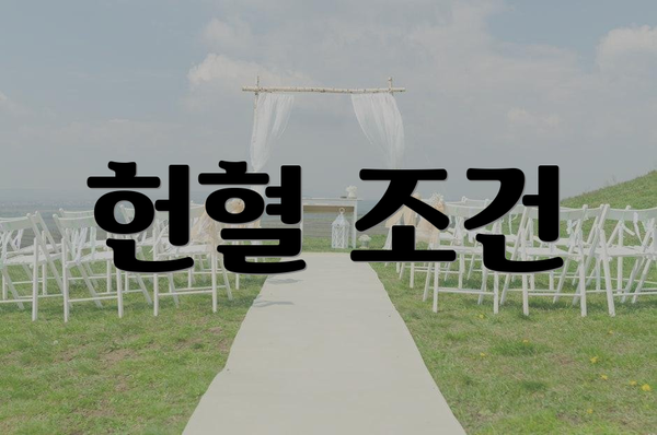 헌혈 조건