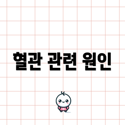 혈관 관련 원인