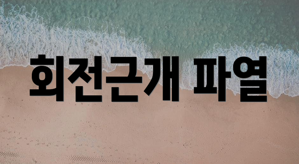 회전근개 파열