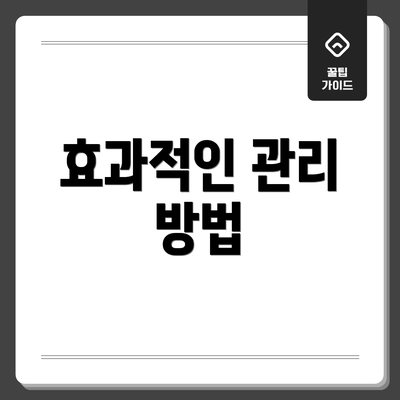 효과적인 관리 방법