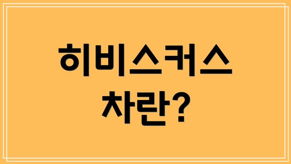 히비스커스 차란?