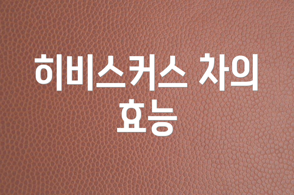 히비스커스 차의 효능