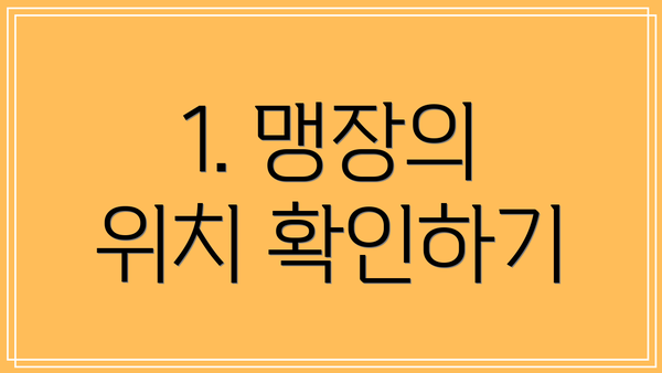 1. 맹장의 위치 확인하기