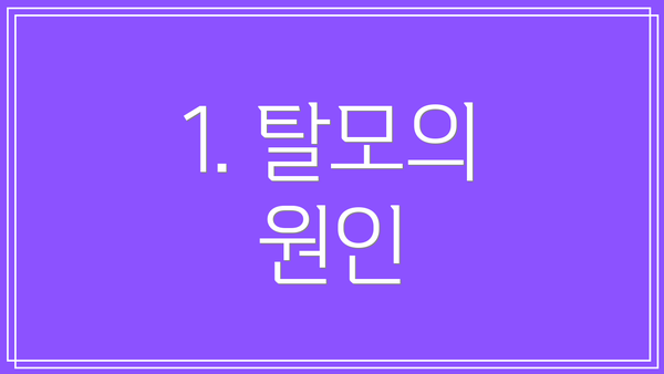1. 탈모의 원인