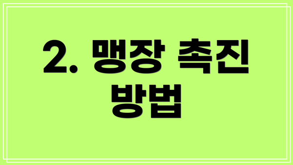 2. 맹장 촉진 방법